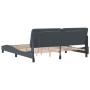 Dark gray velvet bed frame with LED lights 180x200 cm by vidaXL, Beds and slatted bases - Ref: Foro24-3213868, Price: 282,01 ...