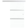 Schiebetür mit ESG-Glas und silbernem Aluminium 102,5x205 cm von vidaXL, Türen - Ref: Foro24-288060, Preis: 285,02 €, Rabatt: %