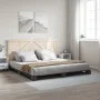 Gray pine wood bed frame with headboard 200x200cm by vidaXL, Beds and slatted bases - Ref: Foro24-3281567, Price: 258,93 €, D...