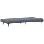Zweiteilige Sofagarnitur aus dunkelgrauem Samt von vidaXL, Sofas - Ref: Foro24-3216296, Preis: 424,61 €, Rabatt: %