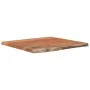Quadratisches Brett aus massivem Akazienholz mit lebender Kante, 60 x 60 x 2,5 cm von vidaXL, Tischplatten - Ref: Foro24-3706...