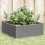 Jardinera con clavijas PP gris claro 42,5x42,5x28,5 cm