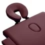 Camilla de masaje plegable 2 zonas aluminio morado de vidaXL, Mesas de masaje - Ref: Foro24-110196, Precio: 161,55 €, Descuen...
