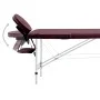 Camilla de masaje plegable 2 zonas aluminio morado de vidaXL, Mesas de masaje - Ref: Foro24-110196, Precio: 161,55 €, Descuen...
