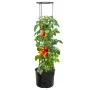 Anthracite gray polypropylene tomato planter Ø39x150 cm by vidaXL, Pots and planters - Ref: Foro24-152210, Price: 33,94 €, Di...