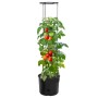 Anthracite gray polypropylene tomato planter Ø39x150 cm by vidaXL, Pots and planters - Ref: Foro24-152210, Price: 45,86 €, Di...