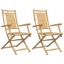 Sillas de jardín plegables 2 unidades bambú 53x66x99 cm de vidaXL, Sillas de jardín - Ref: Foro24-368038, Precio: 166,88 €, D...