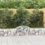 Gabionenkörbe 12 Stück Bogenform Eisen 200x30x40/60 cm von vidaXL, Töpfe und Pflanzgefäße - Ref: Foro24-3146057, Preis: 530,6...