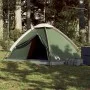 Green Waterproof 2 Person Igloo Tent by vidaXL, tents - Ref: Foro24-94759, Price: 36,61 €, Discount: %