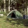 Green Waterproof 2 Person Igloo Tent by vidaXL, tents - Ref: Foro24-94759, Price: 36,61 €, Discount: %