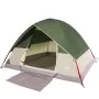 Green Waterproof 2 Person Igloo Tent by vidaXL, tents - Ref: Foro24-94691, Price: 57,09 €, Discount: %