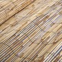 Gartenzaun aus Schilfrohr 500x100 cm von vidaXL, Zaunpaneele - Ref: Foro24-141618, Preis: 54,50 €, Rabatt: %
