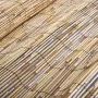 Gartenzaun aus Schilfrohr 500x100 cm von vidaXL, Zaunpaneele - Ref: Foro24-141618, Preis: 48,57 €, Rabatt: %