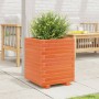 Jardinera madera maciza de pino marrón cera 40x40x49,5 cm de vidaXL, Maceteros y jardineras - Ref: Foro24-3282511, Precio: 11...