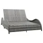 Double sun lounger with anthracite gray synthetic rattan cushion by vidaXL, Outdoor beds - Ref: Foro24-49495, Price: 371,91 €...