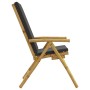 Sillas de jardín plegables reclinables con cojines 2 uds bambú by vidaXL, Garden chairs - Ref: Foro24-365876, Price: 182,33 €...