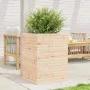 Solid pine wood planter 50x50x68.5 cm by vidaXL, Pots and planters - Ref: Foro24-3282464, Price: 143,42 €, Discount: %
