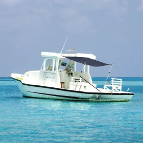 T-Top Markisenverlängerung blau 170x170x(113-182,5) cm von vidaXL, Aufbewahrungsabdeckungen für Boote - Ref: Foro24-94863, Pr...