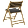 Klappbare Bistrostühle mit Kissen, 4 Stück, dunkelgrauer Bambus von vidaXL, Gartenstühle - Ref: Foro24-3208925, Preis: 228,53...