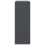 Aparador de acero antracita 67x39x107 cm de vidaXL, Aparadores - Ref: Foro24-841657, Precio: 145,25 €
