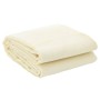 Alfombrilla de camping crema 6x2,5 m de vidaXL, Accesorios para tiendas de campaña - Ref: Foro24-4008502, Precio: 46,50 €