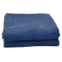 Blaue Campingmatte 2,5x2 m von vidaXL, Zeltzubehör - Ref: Foro24-4008456, Preis: 22,12 €, Rabatt: %