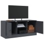 Anthrazitgrauer TV-Schrank aus Stahl, 99 x 39 x 44 cm von vidaXL, TV-Möbel - Ref: Foro24-841687, Preis: 79,40 €, Rabatt: %