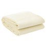 Alfombrilla de camping crema 2,5x2 m de vidaXL, Accesorios para tiendas de campaña - Ref: Foro24-4008495, Precio: 21,11 €, De...