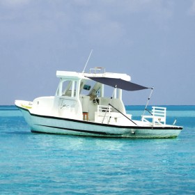 Blauer T-Top-Verlängerungssatz 170x170x(113-182,5) cm von vidaXL, Aufbewahrungsabdeckungen für Boote - Ref: Foro24-3217199, P...