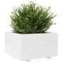 Solid white pine wood planter 80x80x49.5 cm by vidaXL, Pots and planters - Ref: Foro24-3282530, Price: 209,09 €, Discount: %
