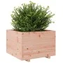 Solid Douglas fir wood planter 70x70x49.5 cm by vidaXL, Pots and planters - Ref: Foro24-3282527, Price: 161,27 €, Discount: %