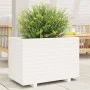 Jardinera madera maciza de pino blanco 70x40x49,5 cm de vidaXL, Maceteros y jardineras - Ref: Foro24-3282550, Precio: 145,54 ...