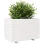 Jardinera madera maciza de pino blanco 70x40x49,5 cm de vidaXL, Maceteros y jardineras - Ref: Foro24-3282550, Precio: 145,54 ...