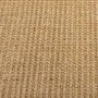 Alfombra de sisal natural 66x350 cm de vidaXL, Alfombras - Ref: Foro24-136303, Precio: 99,43 €, Descuento: %