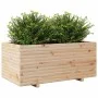 Jardinera madera maciza de pino 110x60x49,5 cm de vidaXL, Maceteros y jardineras - Ref: Foro24-3282569, Precio: 186,34 €, Des...
