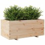 Massive Pinienholz-Pflanzkasten 110x60x49,5 cm von vidaXL, Töpfe und Pflanzgefäße - Ref: Foro24-3282569, Preis: 188,75 €, Rab...