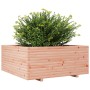 Pflanzgefäß aus massivem Douglasienholz, 110 x 110 x 49,5 cm von vidaXL, Töpfe und Pflanzgefäße - Ref: Foro24-3282547, Preis:...