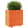 Jardinera madera maciza de pino marrón cera 70x40x72,5 cm de vidaXL, Maceteros y jardineras - Ref: Foro24-3282591, Precio: 20...