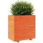 Solid wax brown pine wood planter 70x40x72.5 cm by vidaXL, Pots and planters - Ref: Foro24-3282591, Price: 201,34 €, Discount: %