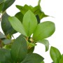 Artificial plant laurel tree with pot 90 cm green by vidaXL, artificial flora - Ref: Foro24-280178, Price: 61,19 €, Discount: %