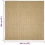 Sisal carpet for scratching post 100x100 cm by vidaXL, Cat Furniture Accessories - Ref: Foro24-3203421, Price: 67,03 €, Disco...