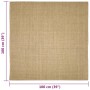 Sisalteppich für Kratzbaum 100x100 cm von vidaXL, Katzenmöbelzubehör - Ref: Foro24-3203421, Preis: 68,34 €, Rabatt: %