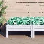 Kissen für Paletten aus bedrucktem Oxford-Stoff mit Blättermuster, 60x60x10 cm. von vidaXL, Kissen für Stühle und Sofas - Ref...