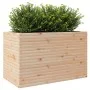 Pflanzgefäß aus massivem Kiefernholz, 110 x 60 x 68,5 cm von vidaXL, Töpfe und Pflanzgefäße - Ref: Foro24-3282504, Preis: 233...