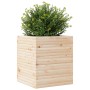 Jardinera de madera maciza de pino 60x60x68,5 cm de vidaXL, Maceteros y jardineras - Ref: Foro24-3282469, Precio: 169,78 €, D...