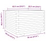 Pflanzgefäß aus massivem Weißkiefernholz, 70 x 70 x 49,5 cm von vidaXL, Töpfe und Pflanzgefäße - Ref: Foro24-3282525, Preis: ...