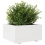 Jardinera madera maciza de pino blanco 90x90x49,5 cm de vidaXL, Maceteros y jardineras - Ref: Foro24-3282535, Precio: 236,23 ...