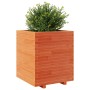 Jardinera madera maciza de pino marrón cera 60x60x72,5 cm von vidaXL, Töpfe und Pflanzgefäße - Ref: Foro24-3282581, Preis: 22...