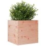 Jardinera de madera maciza de abeto Douglas 70x70x68,5 cm de vidaXL, Maceteros y jardineras - Ref: Foro24-3282477, Precio: 20...