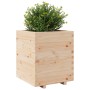 Massive Holz-Pflanzkübel aus Kiefer 60x60x72,5 cm von vidaXL, Töpfe und Pflanzgefäße - Ref: Foro24-3282579, Preis: 186,87 €, ...
